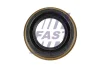 FT49717 FAST Уплотняющее кольцо, дифференциал