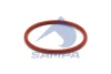 115.559 SAMPA Уплотнительное кольцо