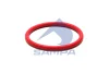115.A537 SAMPA Уплотнительное кольцо