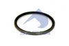 115.021 SAMPA Уплотнительное кольцо, поворотного кулака
