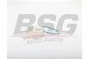 BSG 25-971-009 BSG Прокладка, топливный насос
