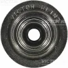 70-38226-00 VICTOR REINZ Уплотнительное кольцо, стержень клапана