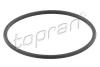202 327 TOPRAN Прокладка, термостат