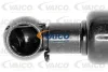 Превью - V10-2000 VAICO Газовая пружина, крышка багажник (фото 3)
