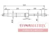 DGS016723 DYNAMATRIX Газовая пружина, крышка багажник