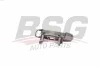 BSG 90-970-012 BSG Ручка двери