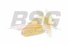 BSG 65-995-002 BSG Комплект клип, внутренняя отделка салона