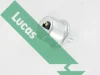 Превью - LLS302 LUCAS Датчик, уровень моторного масла (фото 3)