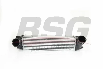 BSG 15-535-001 BSG Интеркулер