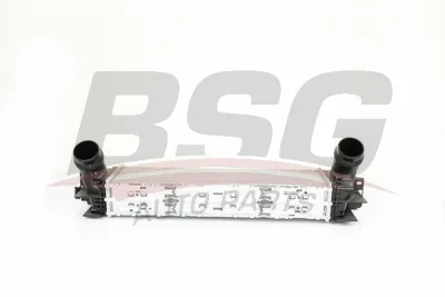 BSG 15-535-002 BSG Интеркулер