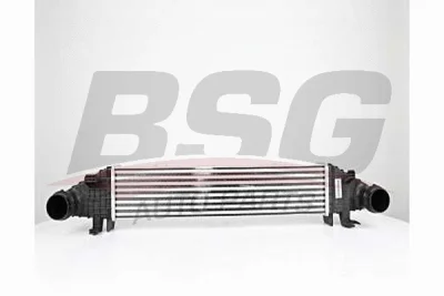 BSG 60-535-009 BSG Интеркулер