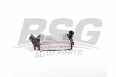 BSG 60-535-014 BSG Интеркулер