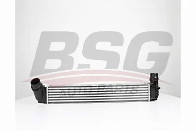 BSG 75-535-004 BSG Интеркулер