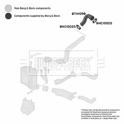 BTH1098 BORG & BECK Трубка нагнетаемого воздуха