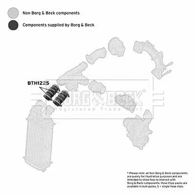 BTH1225 BORG & BECK Трубка нагнетаемого воздуха