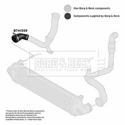 BTH1559 BORG & BECK Трубка нагнетаемого воздуха