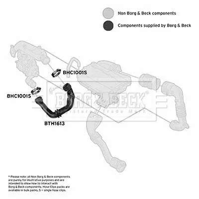 BTH1613 BORG & BECK Трубка нагнетаемого воздуха