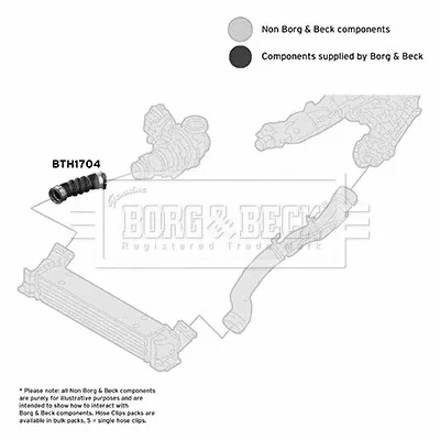 BTH1704 BORG & BECK Трубка нагнетаемого воздуха