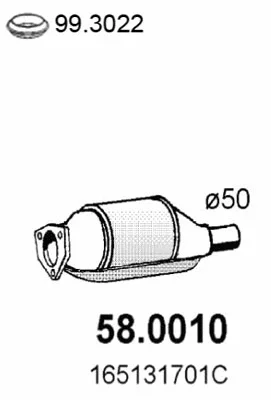 58.0010 ASSO Катализатор