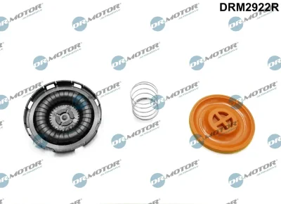 DRM2922R Dr.Motor Automotive Мембрана, вентиляция картера