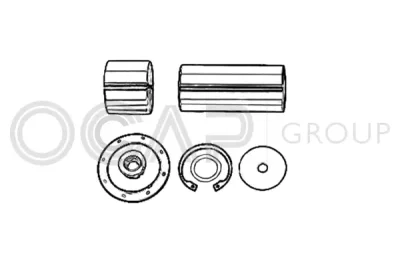 0927437 OCAP Ремкомплект, шкворень поворотного кулака