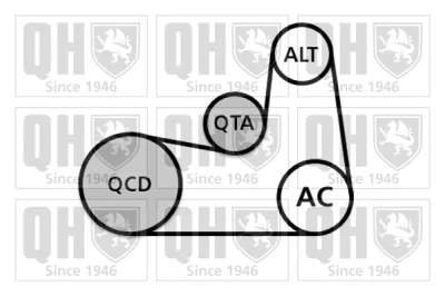 QDK133 QUINTON HAZELL Поликлиновой ременный комплект