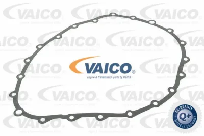 V10-3310 VAICO Прокладка, масляный поддон автоматической коробки передач