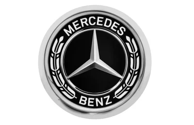 Значок Mercedes-Benz Pin, Laurel Leaf Badge, Silver-coloured / Black MERCEDES B66953551