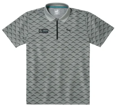 Мужская рубашка-поло Mercedes AMG Petronas Motorsport, Men's Polo Shirt, Grey MERCEDES B67995455