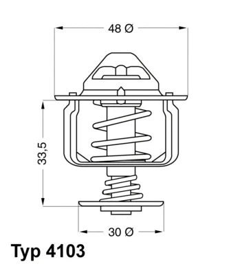 4103.82D BorgWarner (Wahler) Термостат, охлаждающая жидкость