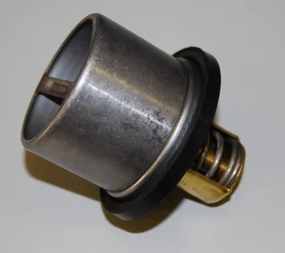 4619.86 BorgWarner (Wahler) Термостат, охлаждающая жидкость