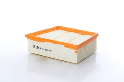 BSG 30-137-007 BSG Воздушный фильтр