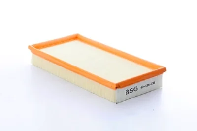 BSG 90-135-038 BSG Воздушный фильтр