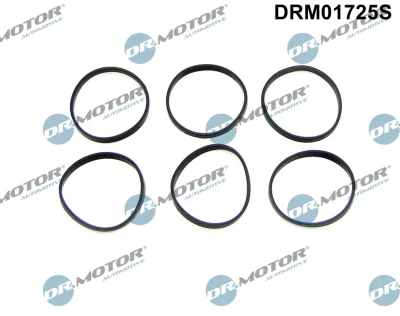 DRM01725S Dr.Motor Automotive Комплект прокладок, впускной коллектор