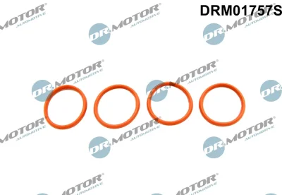 DRM01757S Dr.Motor Automotive Комплект прокладок, впускной коллектор