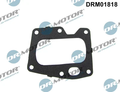 DRM01818 Dr.Motor Automotive Прокладка, клапан возврата ОГ