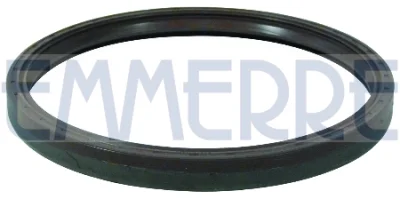 Уплотняющее кольцо, ступица колеса EMMERRE 101508