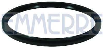 Уплотняющее кольцо, ступица колеса EMMERRE 101506