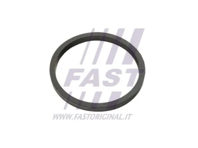 FT49924 FAST Уплотняющее кольцо, масляный радиатор