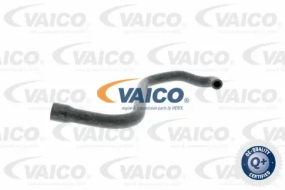 V20-2080 VAICO Шланг, воздухоотвод крышки головки цилиндра