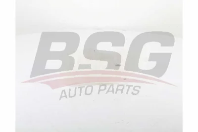 BSG 60-550-005 BSG Компенсационный бак, охлаждающая жидкость