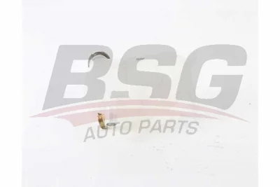 BSG 60-550-011 BSG Компенсационный бак, охлаждающая жидкость