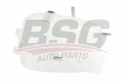 BSG 65-550-001 BSG Компенсационный бак, охлаждающая жидкость
