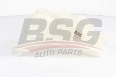 BSG 70-550-005 BSG Компенсационный бак, охлаждающая жидкость