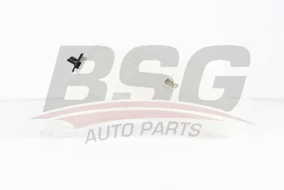 BSG 70-550-007 BSG Компенсационный бак, охлаждающая жидкость