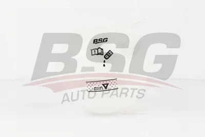 BSG 90-550-001 BSG Компенсационный бак, охлаждающая жидкость