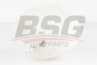 BSG 90-550-002 BSG Компенсационный бак, охлаждающая жидкость