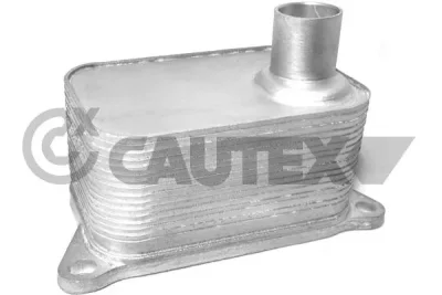 462518 CAUTEX Масляный радиатор, двигательное масло