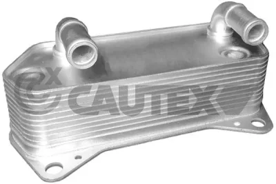 462519 CAUTEX Масляный радиатор, двигательное масло