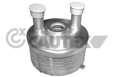 462523 CAUTEX Масляный радиатор, двигательное масло